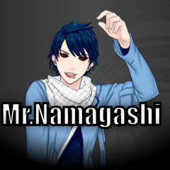 Mr Namagashi
