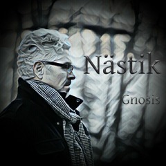 Năstik