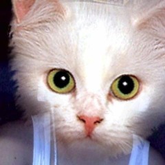 Sounds of Imperfection