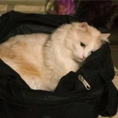 Артур Витко