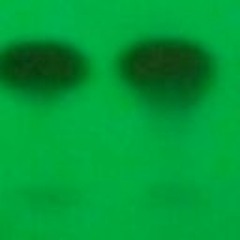 phlippydroid