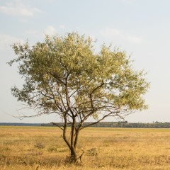 bastian Hagrmann