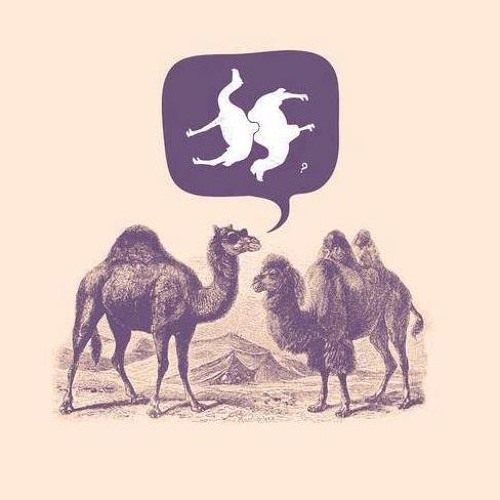 02 - KobHigh'z - Relative Science [149] Out On Ovni Shamans