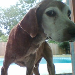 zzaidin ravfn i love her