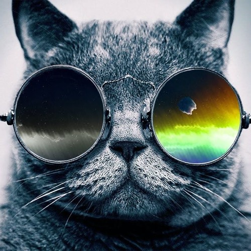 meow’s avatar