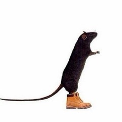 DJ Rat-Fink