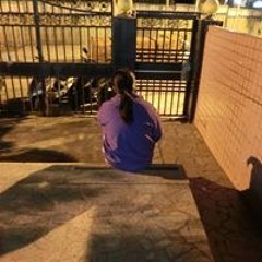 筱玫陳