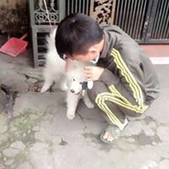 Hùng Cà Rốt