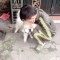 Hùng Cà Rốt