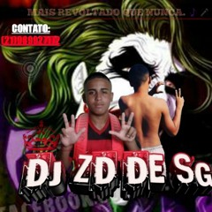 DJ ZD DO PIRA ²