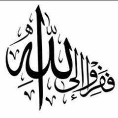هدى كمال الصلاحى