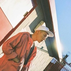 ZICO92