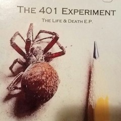 The 401 Experiment