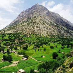 Hosai Jan
