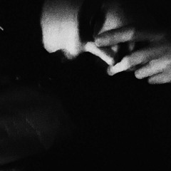 Velt_s.or