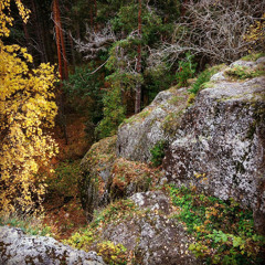 Антон Ильичев