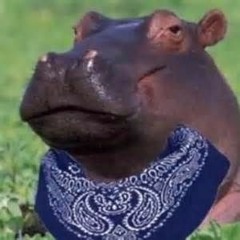 crippopotamus_rawrxd