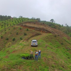 FELIPE SALAZAR 21