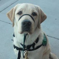 Chloe Mackenzie Jones