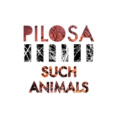 PILOSA