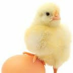 dubstep egg
