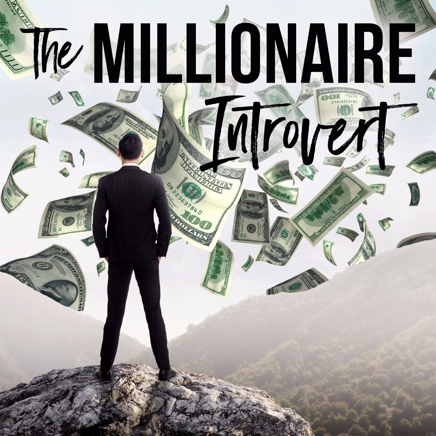 The Millionaire Introvert podcast artwork