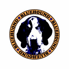 Blue Hound