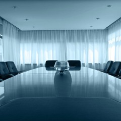 The Executive Establisment (Writer/Producer)