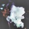 710Daily