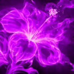 Purple Fire
