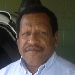 Anis Narimb
