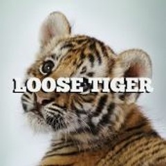 Loose Tiger Music