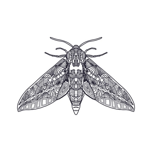 ColdMoth’s avatar
