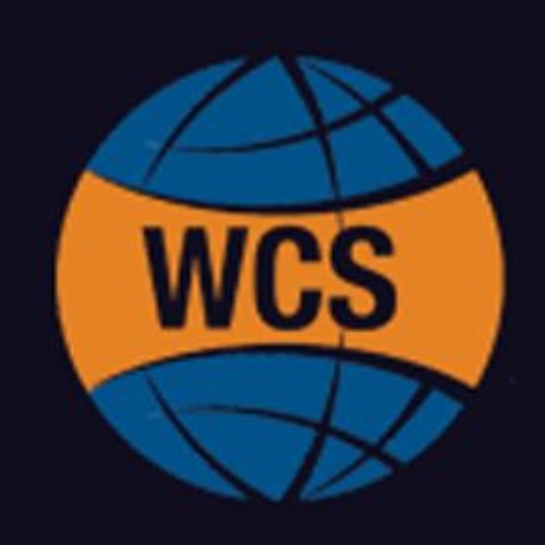 World Com Solutions’s avatar