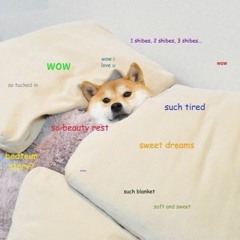 SleepyDoge