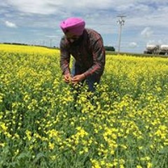 bhai baljit Singh preacher