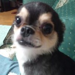 Hieyuki Uchida