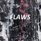 FLAWS_BAND