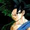 Zon Goku