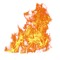 New Fire Music & Art Promotion