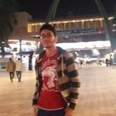 Tarek Mohamed Hamam