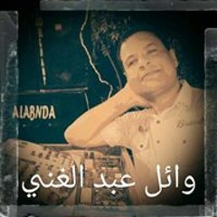 وائل عبد الغنى