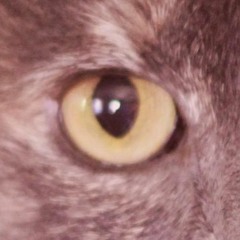 12Danny_M