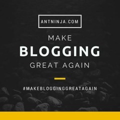 AntNinja