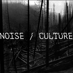 Noise Culture