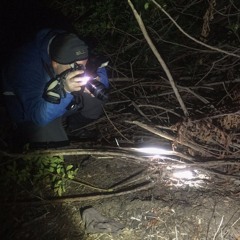 Wildlife Watching Australia