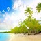 Tropical Vibe