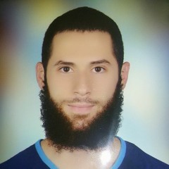 Mohamed El Ghool