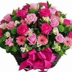 عبير محمد البدرى