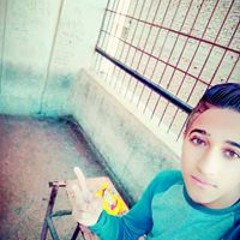 Bibo
